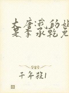 大唐:我的姐夫是李承乾免费txt下载