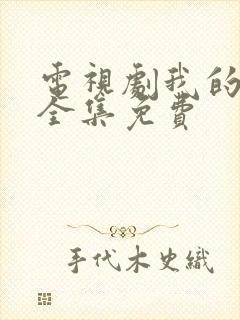 电视剧我的小姨全集免费封面