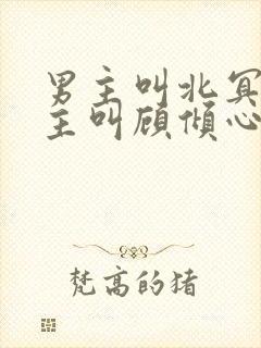 男主叫北冥寒女主叫顾倾心