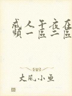 成人午夜在线视频一区二区