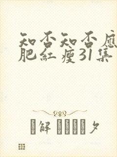 知否知否应是绿肥红瘦31集