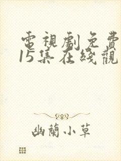 电视剧免费吾岸15集在线观看