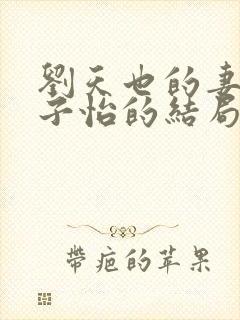 刘天也的妻子赵子怡的结局