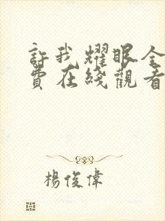 许我耀眼全集免费在线观看封面