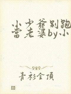 小少爷别跑乖乖当老婆by小说