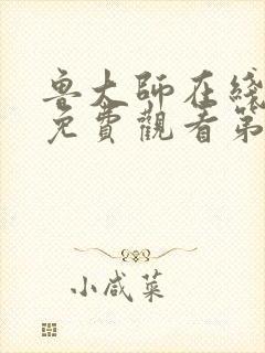 鲁大师在线观看免费观看第5集封面