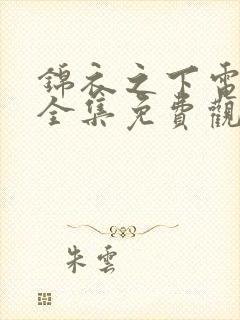 锦衣之下电视剧全集免费观看高清