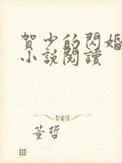 贺少的闪婚暖妻小说阅读