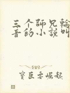 三个师兄轮流上音的小说叫什么