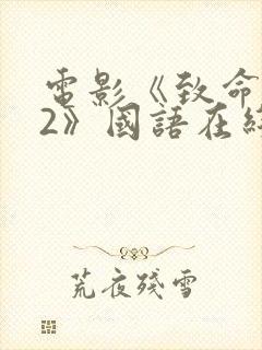 电影《致命黑兰2》国语在线播放