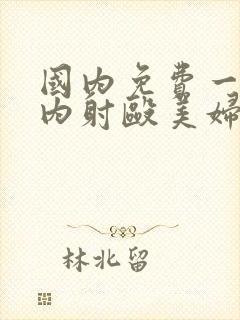 国内免费一级片内射殴美妇