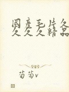 国产毛片久久久久久久精品