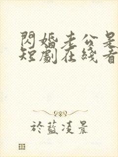 闪婚老公是豪门短剧在线看