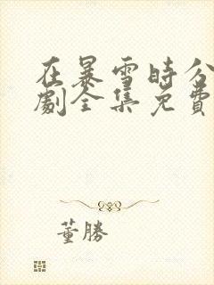 在暴雪时分电视剧全集免费观看封面