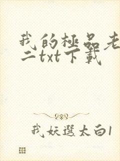 我的极品老婆小二txt下载