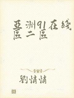 亚洲91在线一区二区