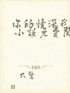 你的情深我不配 小说免费阅读