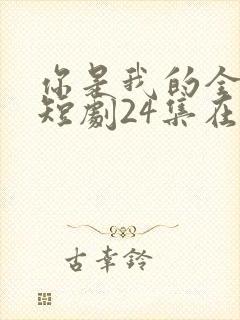 你是我的全世界短剧24集在线观看封面