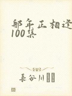 那年正相逢短剧100集封面