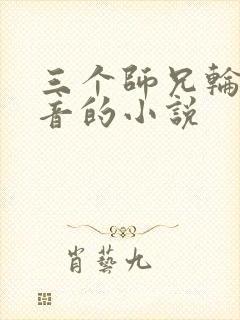 三个师兄轮流上音的小说