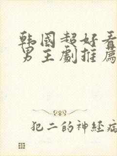 韩国超好看的双男主剧推荐