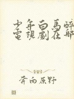 少年白马醉春风电视剧在哪个平台播放