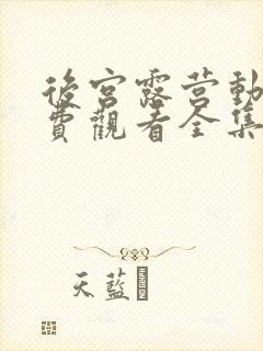 后宫露营动漫免费观看全集