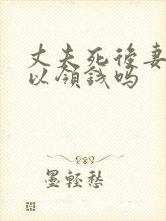 丈夫死后妻子可以领钱吗封面