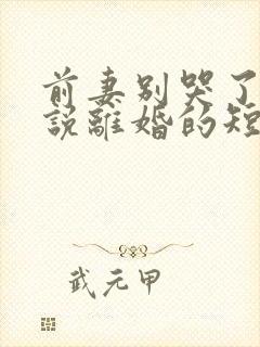 前妻别哭了是你说离婚的短剧免费