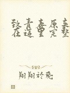 致青春原来你还在这里完整版