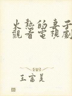 火热的妻子免费观看电视剧封面