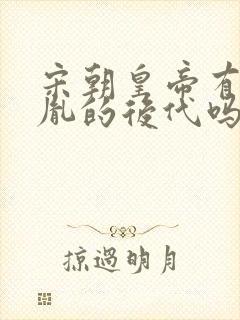 宋朝皇帝有赵匡胤的后代吗