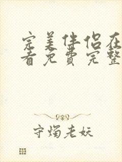 完美伴侣在线观看免费完整版封面