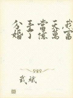 分手当天,我闪婚了亿万富豪全集小说