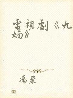 电视剧《九龙夺嫡》