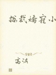 总裁娇宠小蛮妻封面