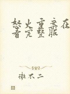 怒火重案在线观看完整版