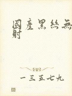 国产黑丝无套内射