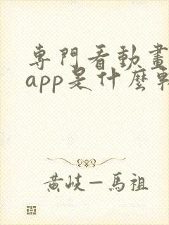 专门看动画片的app是什么软件免费