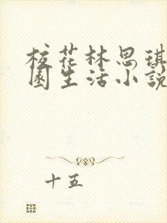 校花林思琪的校园生活小说阅读