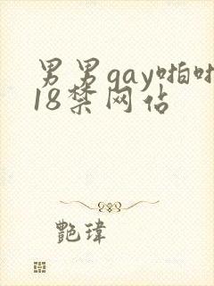 男男gay啪啪18禁网站