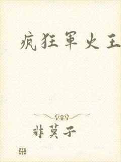 疯狂军火王封面