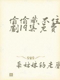 偷偷藏不住广播剧19集免费