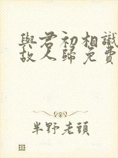 与君初相识恰似故人归免费完整版