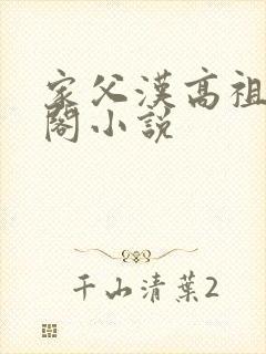 家父汉高祖笔趣阁小说封面