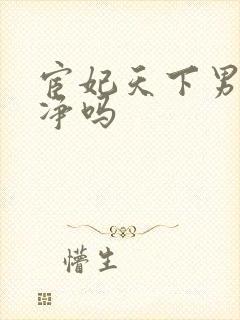 宦妃天下男主干净吗