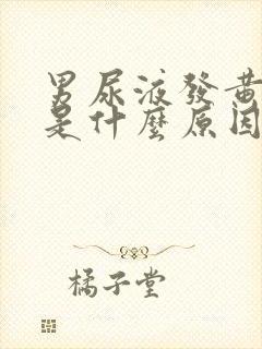 男尿液发黄有泡是什么原因