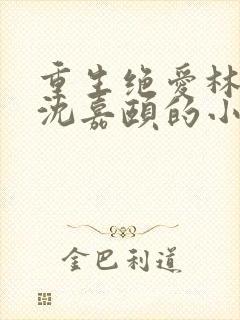 重生绝爱林余和沈嘉颐的小说