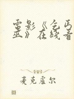 电影《乞丐与女巫》在线看免费