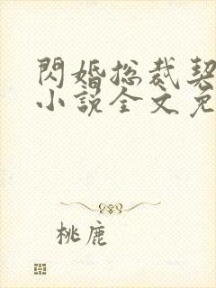 闪婚总裁契约妻小说全文免费